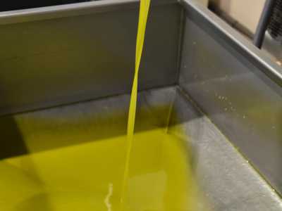 ...e per la capacit� del suo olio di mantenere intatte le proprie caratteristiche nel tempo. Un olio extravergine che non �invecchia�, ma evolve, conservando forza, identit� e carattere (foto della pagina facebook di "Terre di Coratina")